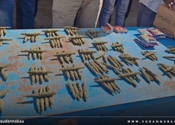 ضبط كميات كبيرة من الحشيش والحبوب المخدرة بمدينة ود النيل بولاية سنار