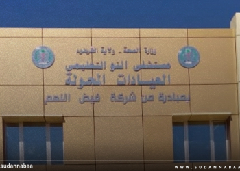 متطوع في مستشفى النو لـ(نبأ السودان): تشوه كامل ودائم على أجساد مواطنين جراء انفجار جسم غريب من مخلفات الحرب بمنطقة المنارة