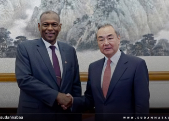 وزير الخارجية يلتقي نظيره الصيني في بكين