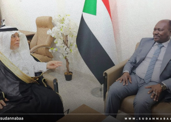 وزير الداخلية يلتقي السفير السعودي ويبحثان سبل تعزيز التعاون الأمني المشترك