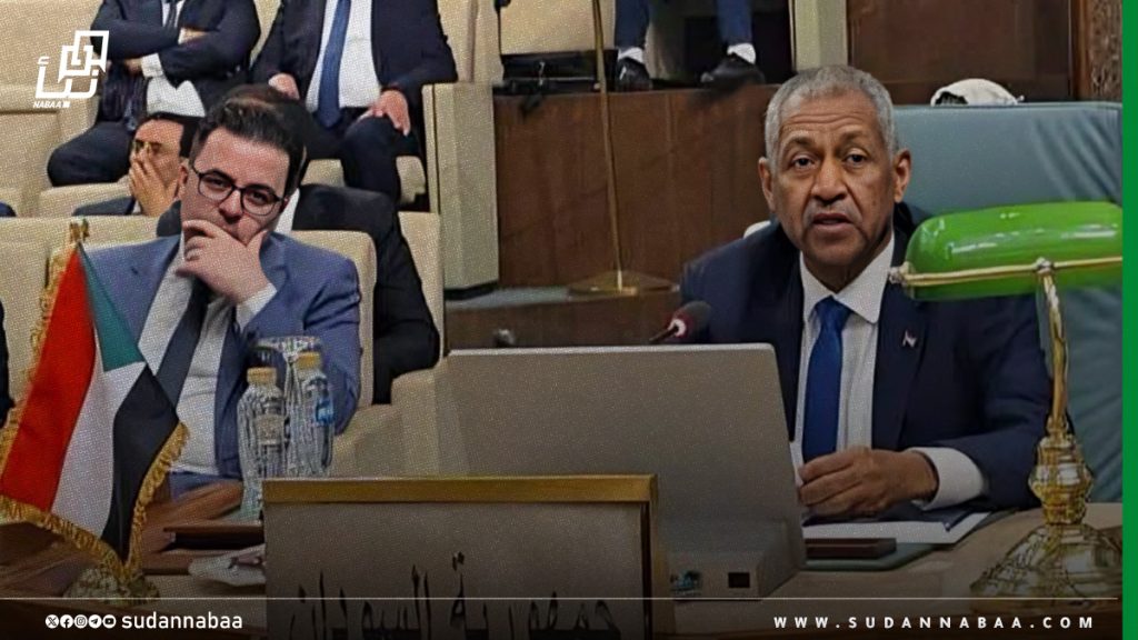 عدوي يشارك في أعمال الاجتماع التنسيقي العربي على مستوى المندوبين الدائمين