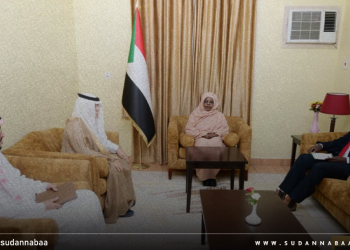 دكتورة سلمى عبد الجبار تشيد بمواقف المملكة العربية السعودية الداعمة للسودان 