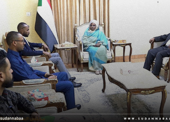 عضو مجلس السيادة د. سلمى عبد الجبار تشيد بدور مجلس الشباب السوداني في معركة الكرامة