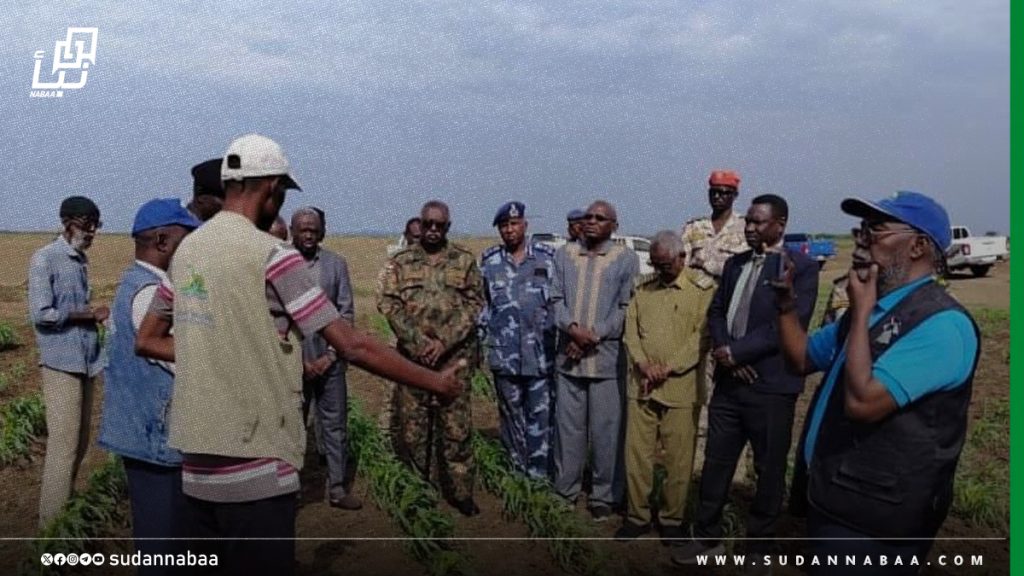 الشركة العربية السودانية للبذور تنجح في زراعة أكثر من ألفي فدان بمحاصيل أساسية في ولاية سنار 1 الشركة العربية السودانية للبذور تنجح في زراعة أكثر من ألفي فدان بمحاصيل أساسية في ولاية سنار