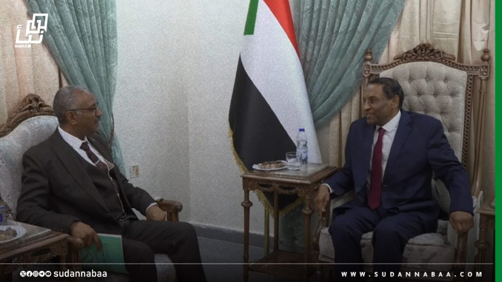 رئيس الوزراء يؤكد دعمه لتطوير البنية التحتية لقطاع الاتصالات