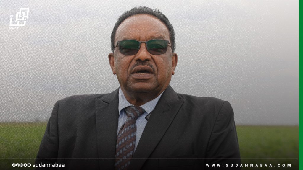 محافظ مشروع الجزيرة يدعو الشركات والبنوك لتمويل المزارعين ويكشف جهود إدارته لانجاح العروة الصيفية 1 1