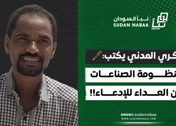 بكري المدني يكتب: منظومة الصناعات من العداء للإدعاء!!