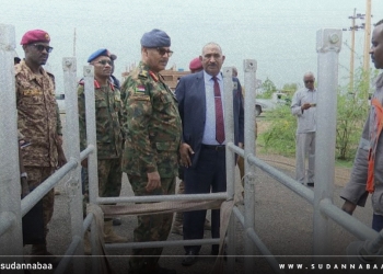 جابر يشيد بجهود العاملين بقطاع الكهرباء فى السودان