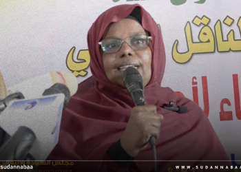 د. سلمى عبد الجبار تشيد بتضحيات القوات المسلحة والقوات المساندة لها في هزيمة مشروع تدمير السودان