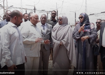 د. سلمى عبدالجبار تعد بمتابعة جهود معالجة الدمار الذى لحق بالمرافق الخدمية والمشاريع الإقتصادية بولاية الجزيرة