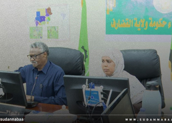 د. نوارة أبو محمد تترأس جلسة مجلس وزراء حكومة ولاية القضارف