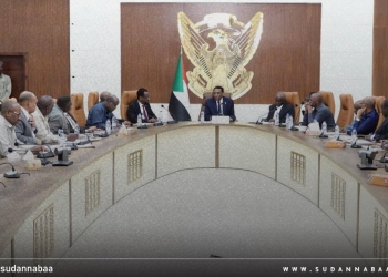 رئيس الوزراء: التحديات الخارجية من أكبر المهددات وتتطلب برامج فعالة لحماية مصالح السودان