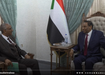 رئيس الوزراء يؤكد دعمه لتطوير البنية التحتية لقطاع الاتصالات
