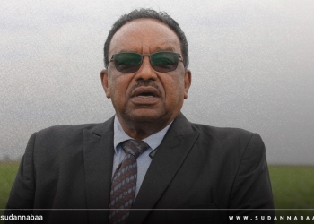 محافظ مشروع الجزيرة يدعو الشركات والبنوك لتمويل المزارعين ويكشف جهود إدارته لانجاح العروة الصيفية