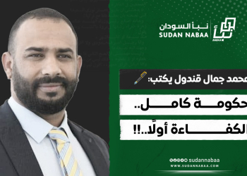 محمد جمال قندول يكتب: حكومة كامل.. الكفاءة أولًا..!!