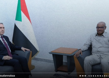مستشار مجلس السيادة لشؤون المنظمات والعمل الإنساني يلتقي السفير التركي