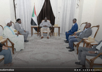 نائب رئيس مجلس السيادة مالك عقار يلتقي والي جنوب دارفور 