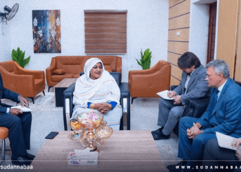 وزيرة الصناعة تبحث مع السفير الروسي تعزيز التعاون التجاري والاستثماري 12 وزيرة الصناعة تبحث مع السفير الروسي تعزيز التعاون التجاري والاستثماري