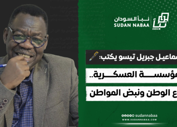 إسماعيل جبريل تيسو يكتب: المؤسسة العسكرية.. درع الوطن ونبض المواطن