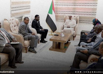 د. سلمي عبد الجبار تؤكد دعم الدولة للمبادرات الإنتاجية لتعزيز مسيرة الاقتصاد الوطني