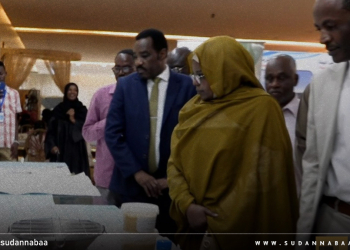 د. سلمي عبد الجبار تشيد بمبادرات رواد الأعمال في مجال الصناعات والأعمال الصغيرة