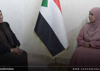 د. نوارة أبو محمد تطّلع على خطة المجلس الأعلى للبيئة لمرحلة مابعد الحرب 