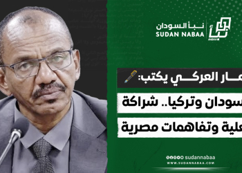 عمار العركي يكتب: السودان وتركيا.. شراكة فعلية وتفاهمات مصرية