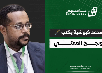 محمد كبوشية يكتب: ونجح المفتي