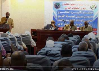 مدير ديوان الحسابات المكلف يشيد بدور المحاسبين في إنقاذ البيانات المحاسبية أثناء الحرب