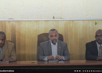 مليون دولار لدعم الاحتياجات الأساسية للمؤسسات الصحية بولاية الجزيرة