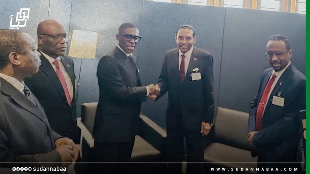 رئيس الوزراء ونائب رئيس غينيا الاستوائية يؤكدان على أهمية التضامن والتنسيق الإفريقي المشترك 1 رئيس الوزراء ونائب رئيس غينيا الاستوائية يؤكدان على أهمية التضامن والتنسيق الإفريقي المشترك