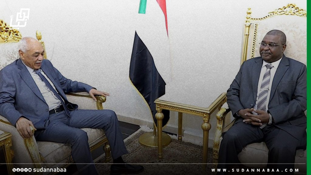 عضو مجلس السيادة صلاح الدين آدم تور يؤمّن على ضرورة تفعيل دور المحكمة الدستورية