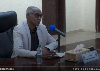 الخرطوم تستنفر الجهود الرسمية والشعبية للحد من انتشار حمى الضنك