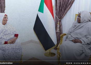 د. سلمى عبد الجبار تشدد على ضرورة تفعيل دور النيابات العامة