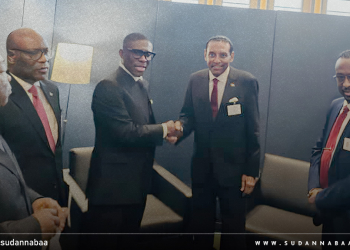رئيس الوزراء ونائب رئيس غينيا الاستوائية يؤكدان على أهمية التضامن والتنسيق الإفريقي المشترك