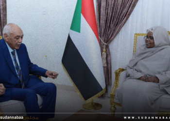 سلمى عبد الجبار تطلع على أداء المحكمة الدستورية والتشريعات الخاصة بالمرأة والطفل