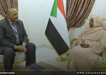 سلمى عبد الجبار تطلع على خطة قطاع الكهرباء بوزارة النفط