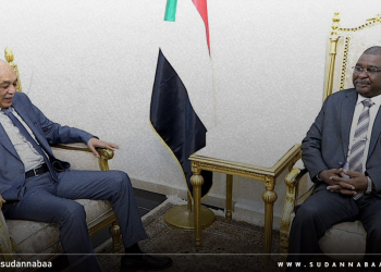 عضو مجلس السيادة صلاح الدين آدم تور يؤمّن على ضرورة تفعيل دور المحكمة الدستورية 