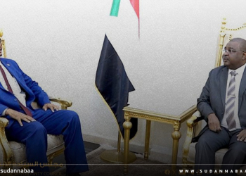 عضو مجلس السيادة صلاح الدين آدم تور يلتقي وزير التعليم والتربية الوطنية