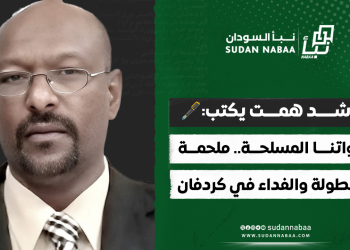 راشد همت يكتب: قواتنا المسلحة.. ملحمة البطولة والفداء في كردفان