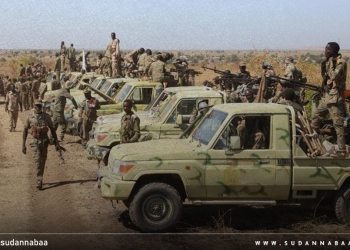 مصادر عسكرية لـ«نبأ السودان»: الجيش يحقق تقدمات كبيرة في كردفان ودارفور ويضغط على مليشيا الدعم السريع