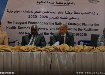 ورشة عمل ببورتسودان حول الخطة الوطنية لاستراتيجية القطاع الصحي لما بعد الحرب