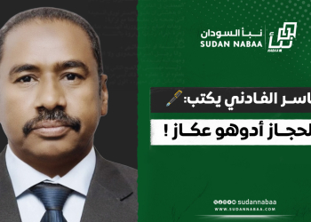 ياسر الفادني يكتب: الحجاز أدوهو عكاز !