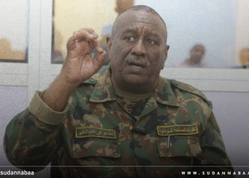 والي الجزيرة يدين المجزرة الوحشية التي ارتكبتها مليشيا الدعم السريع بالفاشر