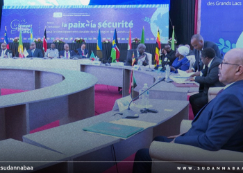 قمة البحيرات العظمى توصي مجلس الأمن بإدانة مليشيا الدعم السريع