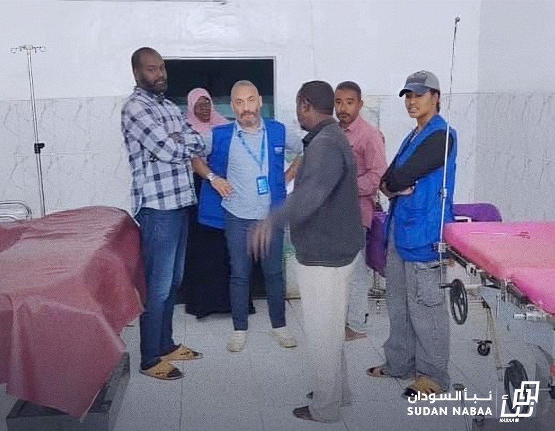 Sinnar State Health Ministry, AfDB Conclude Final Assessment of Project Hospitals 19 Sinnar State Health Ministry, AfDB Conclude Final Assessment of Project Hospitals