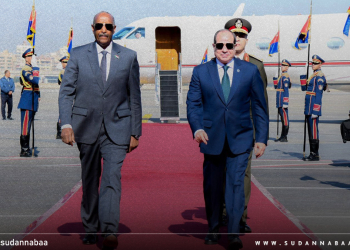 السيسي يستقبل البرهان ويؤكد دعم مصر لوحدة واستقرار السودان