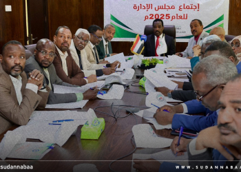 الصندوق القومي للتأمين الصحي يجيز تقرير أداء 2025 وخطة وموازنة 2026