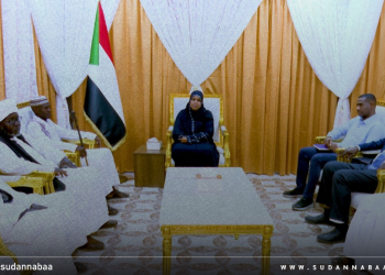 لدى لقائها وفد قبائل الهوسا والفلاتة والبرنو.. نوارة أبو محمد تؤكد اهتمام الدولة بقضايا المنتجين