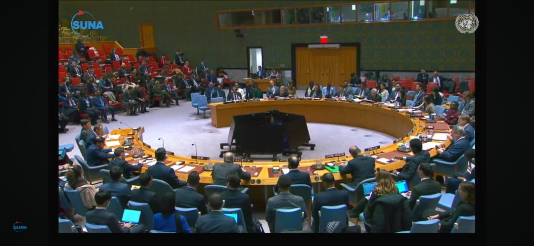 Algeria at UN Security Council: No Impunity for RSF Crimes in Sudan 10 Algeria at UN Security Council: No Impunity for RSF Crimes in Sudan